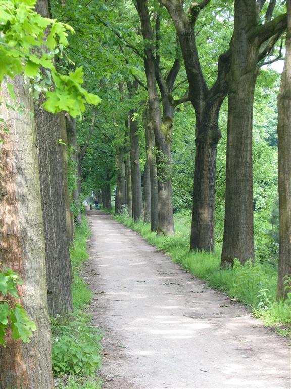 IMG_5976 (Large).jpg